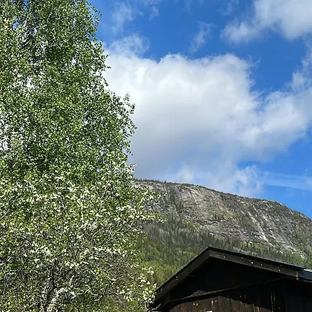 Paradis Ved Norefjell