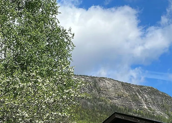 Winter Paradise Norefjell