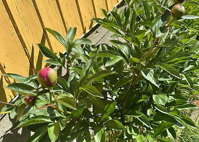 Winter Paradise Norefjell Норесунд