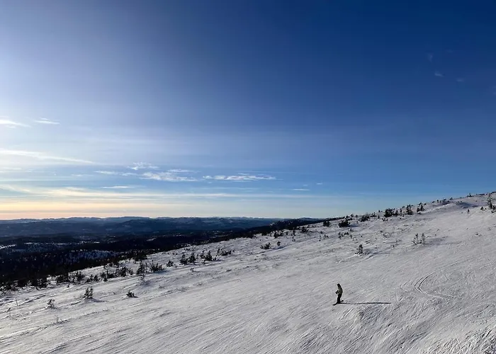 Winter Paradise Norefjell Дом отдыха Норесунд